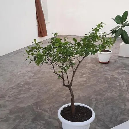 Titi' 公寓 特拉帕尼